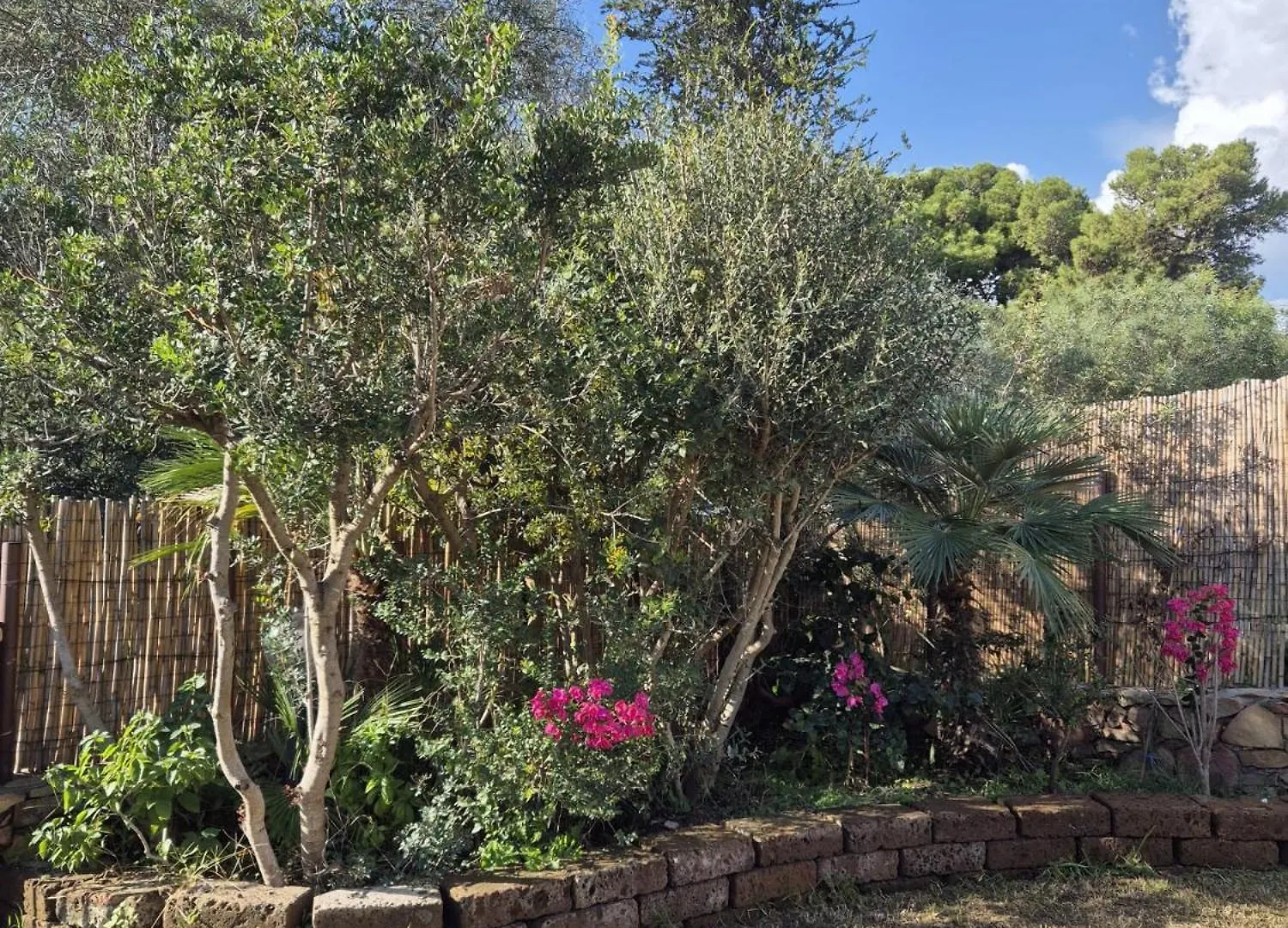 Holiday home Villasimius - Villa Sofia